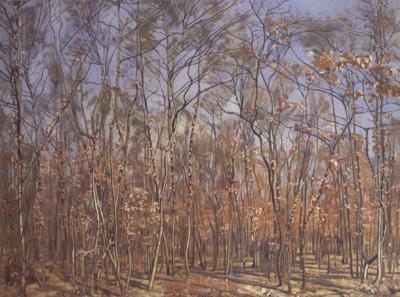 Ferdinand Hodler The Beech Forest (nn02) Norge oil painting art